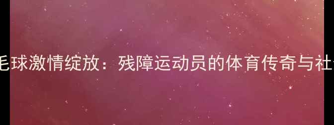 图片 上海特奥会羽毛球激情绽放：残障运动员的体育传奇与社会共融新篇章1