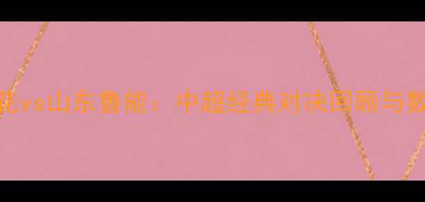 图片 上海申花vs山东鲁能：中超经典对决回顾与数据分析