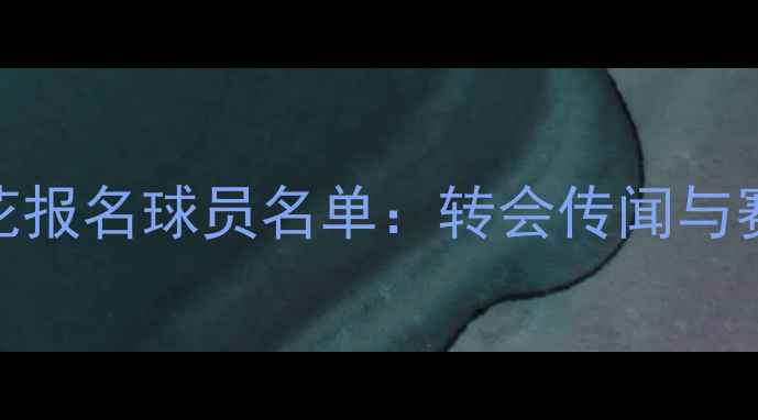 图片 上海申花报名球员名单：转会传闻与赛季前瞻