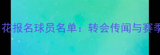 图片 上海申花报名球员名单：转会传闻与赛季前瞻2