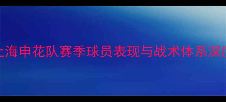 图片 上海申花队赛季球员表现与战术体系深度