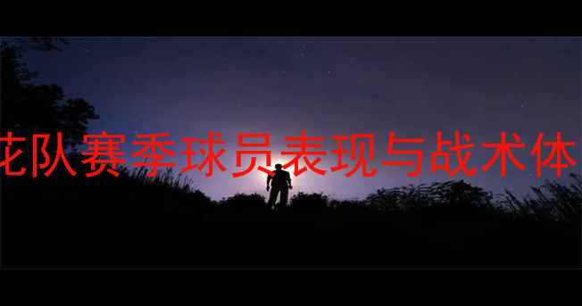 图片 上海申花队赛季球员表现与战术体系深度2