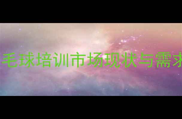 图片 上海羽毛球培训市场现状与需求分析2