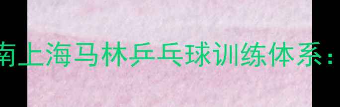 图片 专业级乒乓球教练系统化教学指南上海马林乒乓球训练体系：从零基础到职业赛事的进阶路径