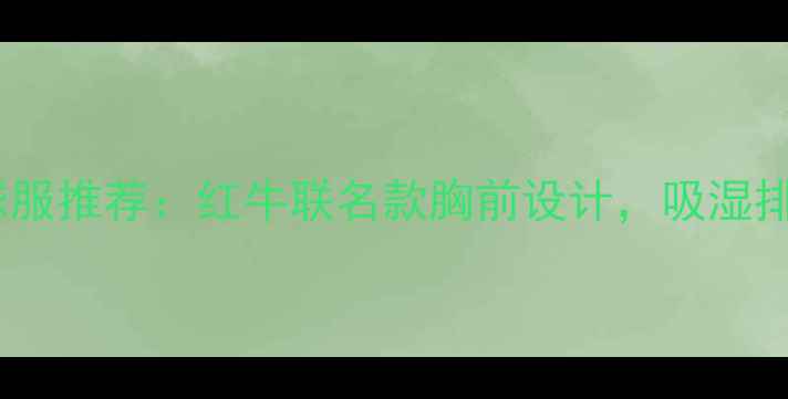 图片 专业羽毛球服推荐：红牛联名款胸前设计，吸湿排汗黑科技1