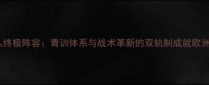 图片 世界杯德国队终极阵容：青训体系与战术革新的双轨制成就欧洲金靴制造机2