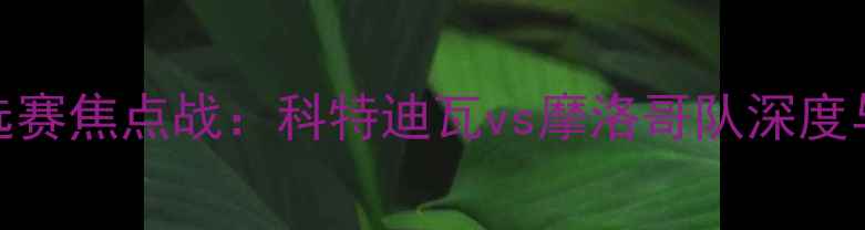 图片 世界杯预选赛焦点战：科特迪瓦vs摩洛哥队深度与赛事前瞻