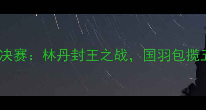 图片 世界羽毛球锦标赛总决赛：林丹封王之战，国羽包揽五金创历史最佳战绩2