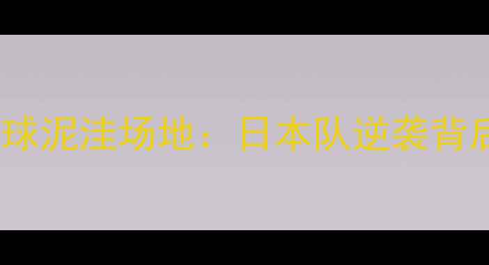 图片 东京奥运会乒乓球泥洼场地：日本队逆袭背后的科技与战术2