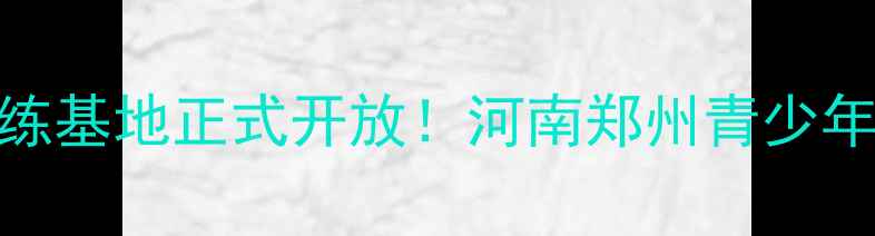 图片 中原中学羽毛球训练基地正式开放！河南郑州青少年羽毛球培训首选地