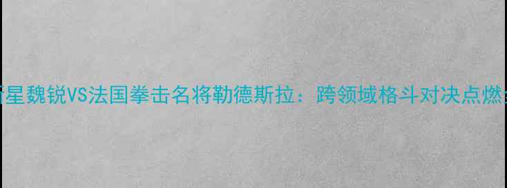图片 中国MMA新星魏锐VS法国拳击名将勒德斯拉：跨领域格斗对决点燃全球拳台2