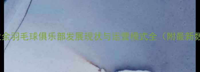 图片 中国业余羽毛球俱乐部发展现状与运营模式全（附最新数据）1