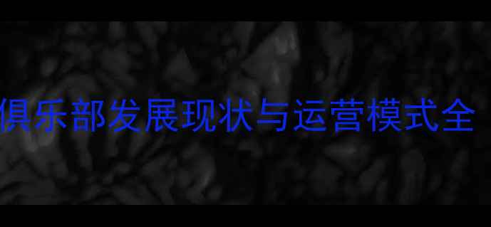 图片 中国业余羽毛球俱乐部发展现状与运营模式全（附最新数据）2