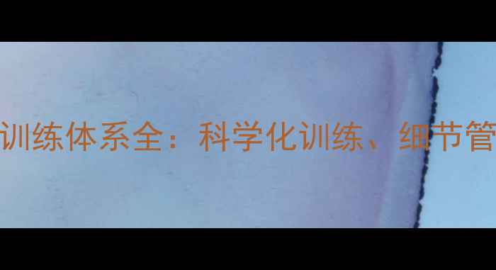 图片 中国国家羽毛球队训练体系全：科学化训练、细节管理及成果转化机制