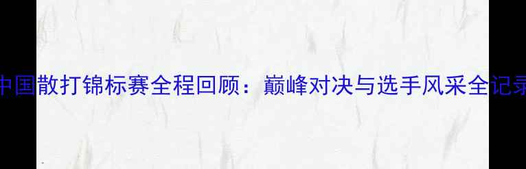 图片 中国散打锦标赛全程回顾：巅峰对决与选手风采全记录