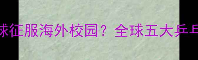 图片 中国留学生如何用乒乓球征服海外校园？全球五大乒乓球强国留学生文化现象