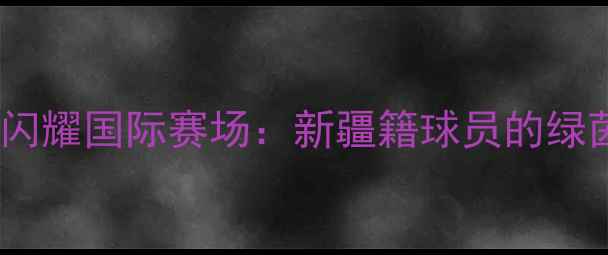 图片 中国穆斯林运动员闪耀国际赛场：新疆籍球员的绿茵梦想与民族精神2