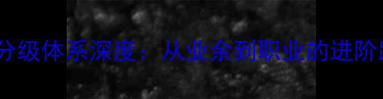 图片 中国羽毛球专业分级体系深度：从业余到职业的进阶路径与认证标准2