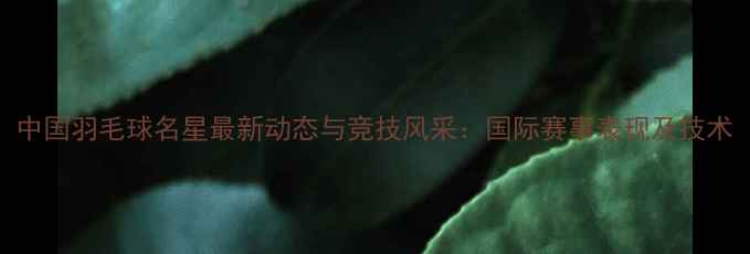 图片 中国羽毛球名星最新动态与竞技风采：国际赛事表现及技术