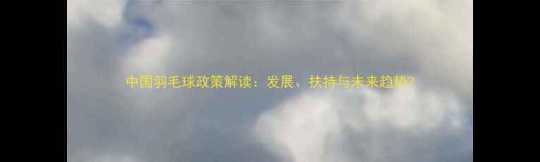 图片 中国羽毛球政策解读：发展、扶持与未来趋势2