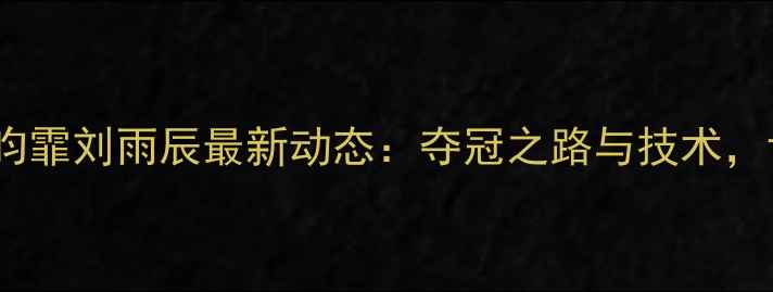 图片 中国羽毛球男双刘昀霏刘雨辰最新动态：夺冠之路与技术，世界排名跃升秘诀2