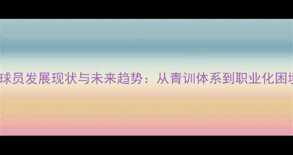图片 中国职业球员发展现状与未来趋势：从青训体系到职业化困境的深度1