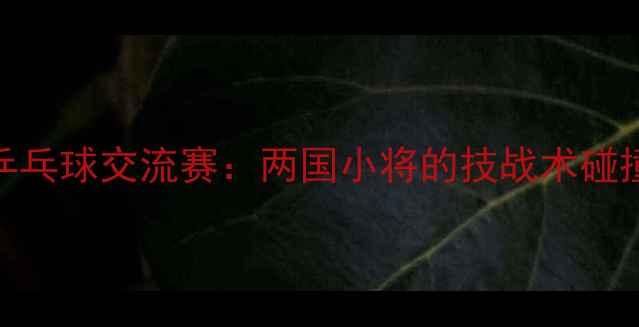 图片 中日青少年乒乓球交流赛：两国小将的技战术碰撞与文化互鉴