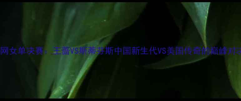 图片 中网女单决赛：王蔷VS斯蒂芬斯中国新生代VS美国传奇的巅峰对决1