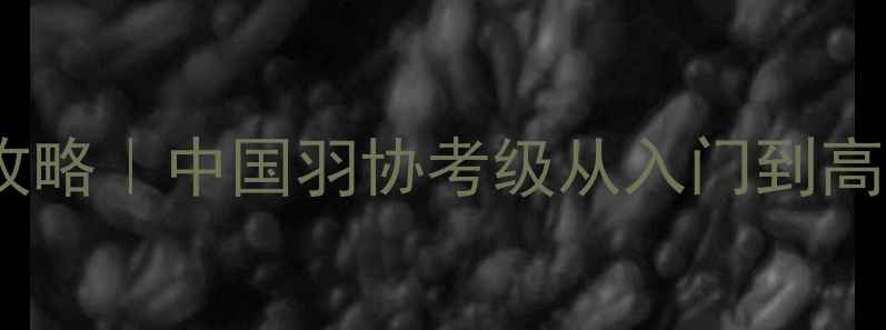 图片 中羽等级考试全攻略｜中国羽协考级从入门到高段位保姆级指南1