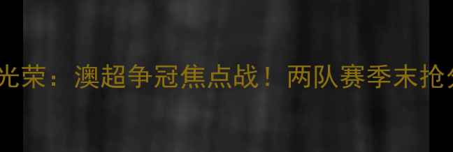 图片 主墨尔本胜利vs珀斯光荣：澳超争冠焦点战！两队赛季末抢分大战战术与数据全1