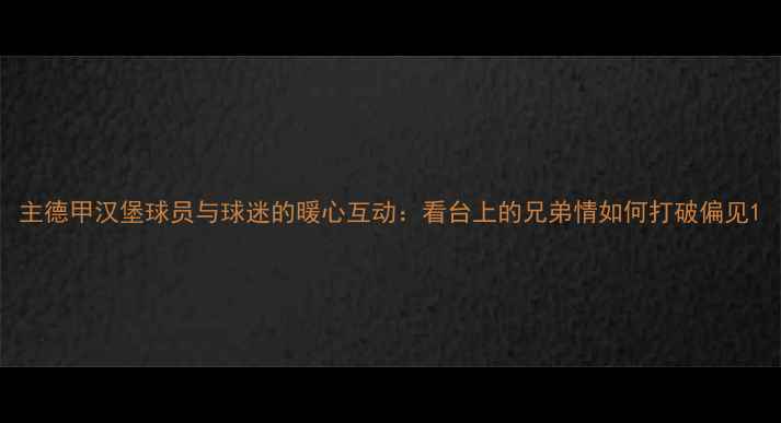 图片 主德甲汉堡球员与球迷的暖心互动：看台上的兄弟情如何打破偏见1
