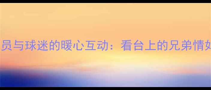 图片 主德甲汉堡球员与球迷的暖心互动：看台上的兄弟情如何打破偏见2