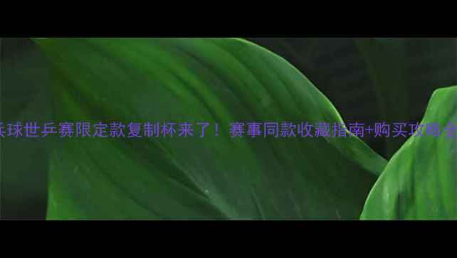 图片 乒乓球世乒赛限定款复制杯来了！赛事同款收藏指南+购买攻略全🏓1