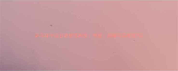 图片 乒乓球中远台底板选购全：性能、品牌与实战技巧2