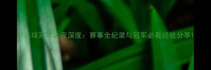 图片 乒乓球冠军之夜深度：赛事全纪录与冠军必看经验分享1