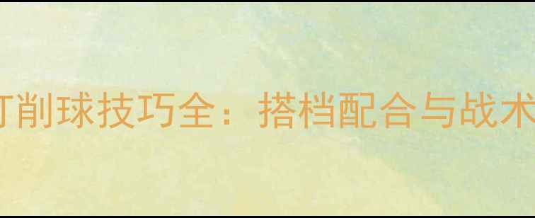 图片 乒乓球双打削球技巧全：搭档配合与战术应用指南2