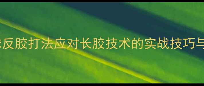 图片 乒乓球反胶打法应对长胶技术的实战技巧与科学2