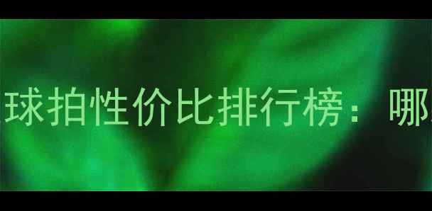 图片 乒乓球反胶球拍性价比排行榜：哪款适合你？