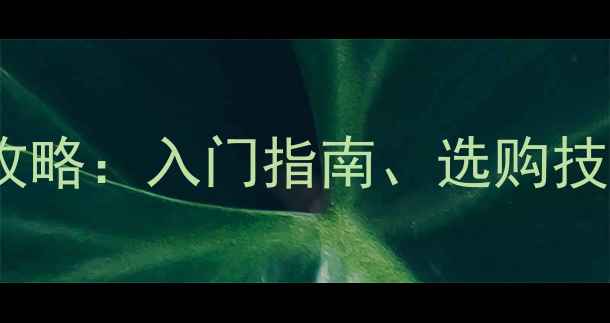 图片 乒乓球器材全攻略：入门指南、选购技巧与品牌推荐2