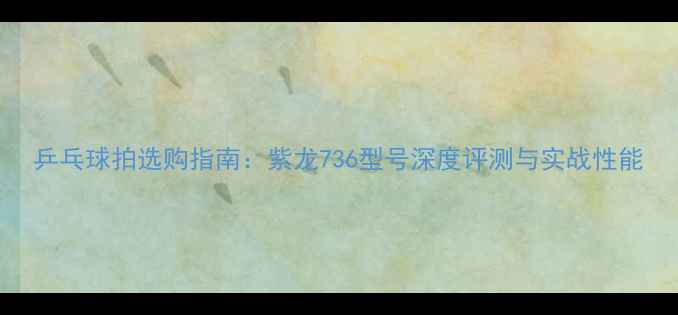 图片 乒乓球拍选购指南：紫龙736型号深度评测与实战性能