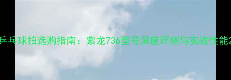 图片 乒乓球拍选购指南：紫龙736型号深度评测与实战性能2