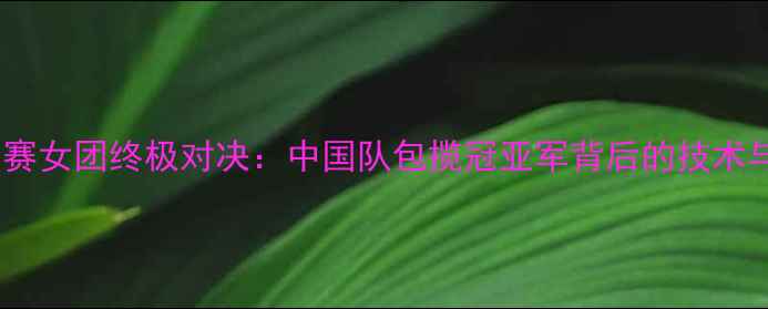 图片 乒乓球欧锦赛女团终极对决：中国队包揽冠亚军背后的技术与赛事影响2