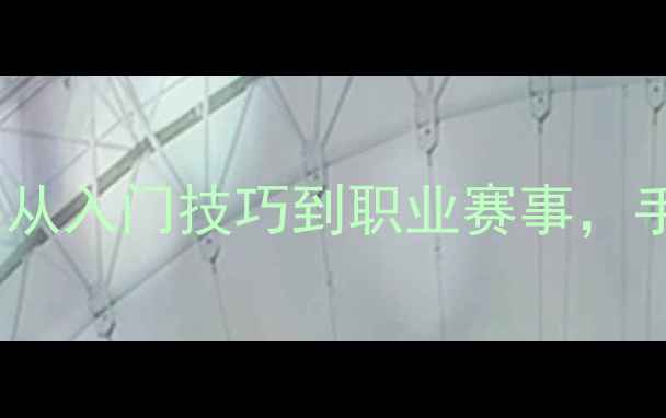 图片 乒乓球比赛全攻略：从入门技巧到职业赛事，手把手教你提升球技2