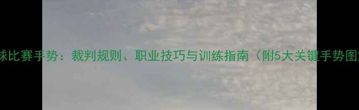 图片 乒乓球比赛手势：裁判规则、职业技巧与训练指南（附5大关键手势图解）2