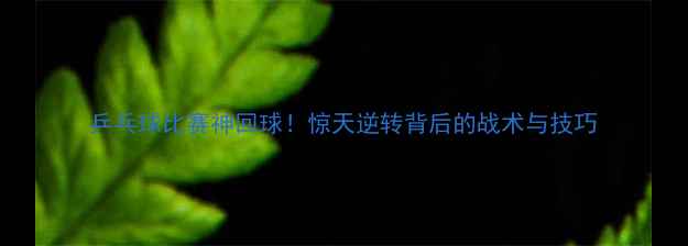 图片 乒乓球比赛神回球！惊天逆转背后的战术与技巧