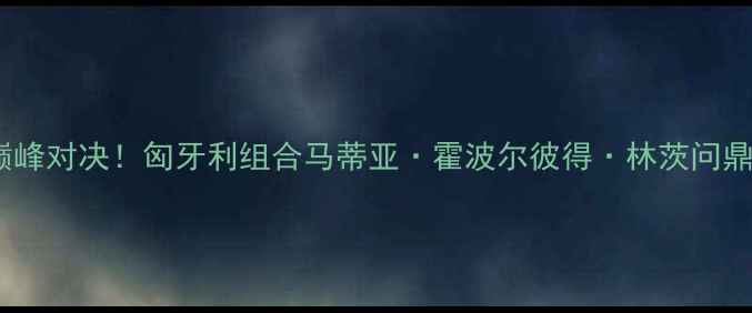 图片 乒乓球男双决赛巅峰对决！匈牙利组合马蒂亚·霍波尔彼得·林茨问鼎国际乒联总决赛1