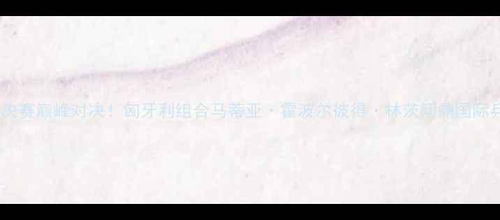 图片 乒乓球男双决赛巅峰对决！匈牙利组合马蒂亚·霍波尔彼得·林茨问鼎国际乒联总决赛2