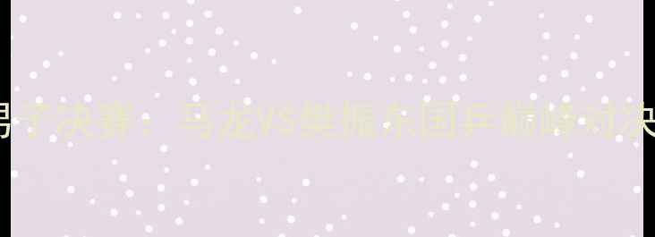 图片 乒乓球男子决赛：马龙VS樊振东国乒巅峰对决全记录1