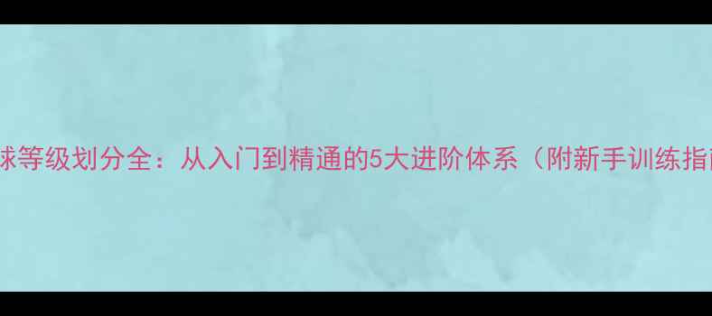 图片 乒乓球等级划分全：从入门到精通的5大进阶体系（附新手训练指南）1