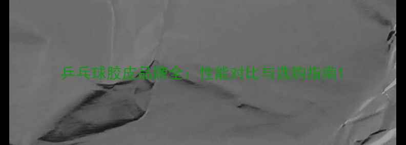 图片 乒乓球胶皮品牌全：性能对比与选购指南1